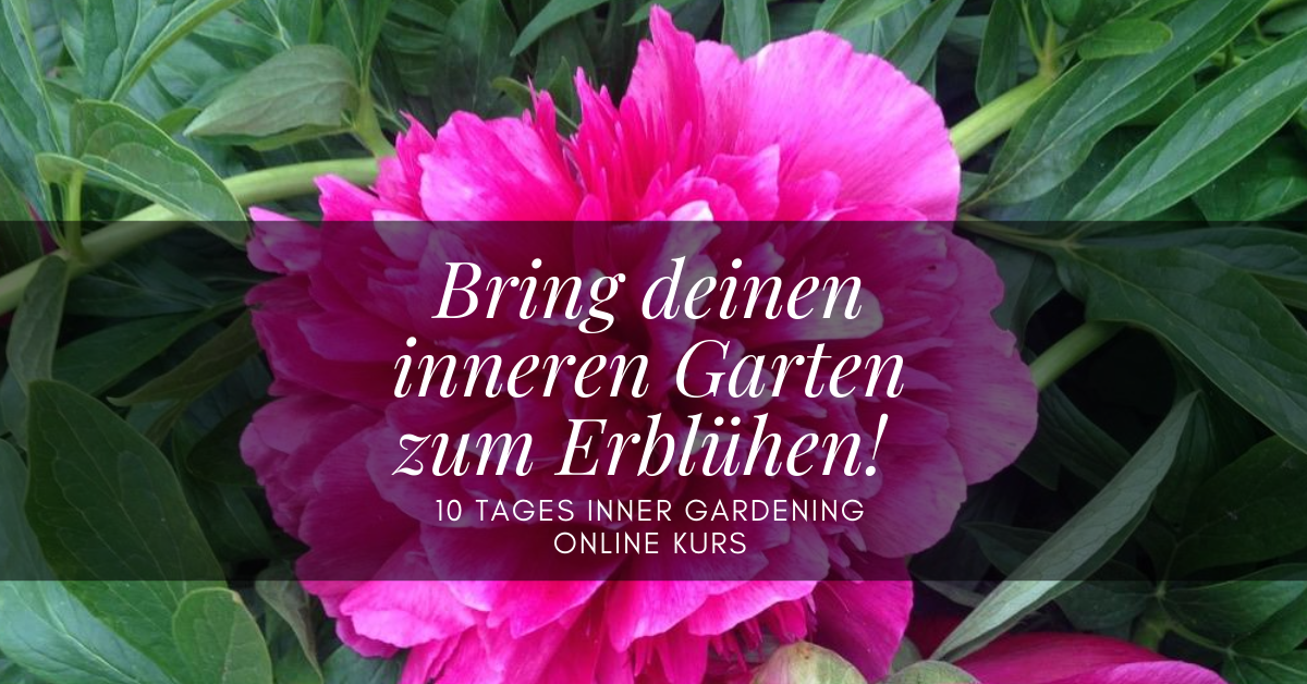 Inner Gardening Online Kurs Hannah Lisa Linsmaier